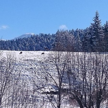 La Ferme Du Bois Barbu Hotel Villard-de-Lans Kültér fotó