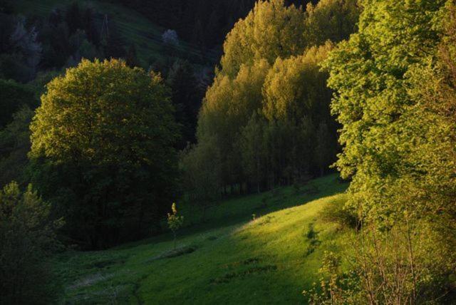 La Ferme Du Bois Barbu Hotel Villard-de-Lans Kültér fotó
