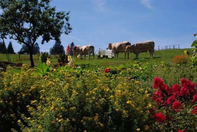 La Ferme Du Bois Barbu Hotel Villard-de-Lans Kültér fotó