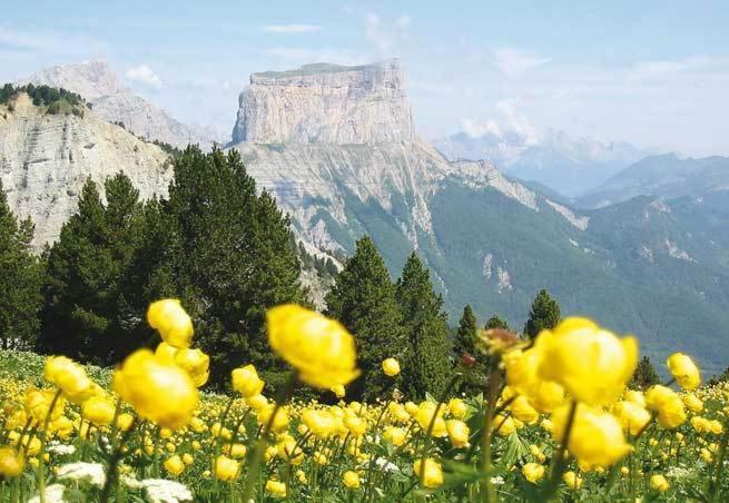 La Ferme Du Bois Barbu Hotel Villard-de-Lans Kültér fotó