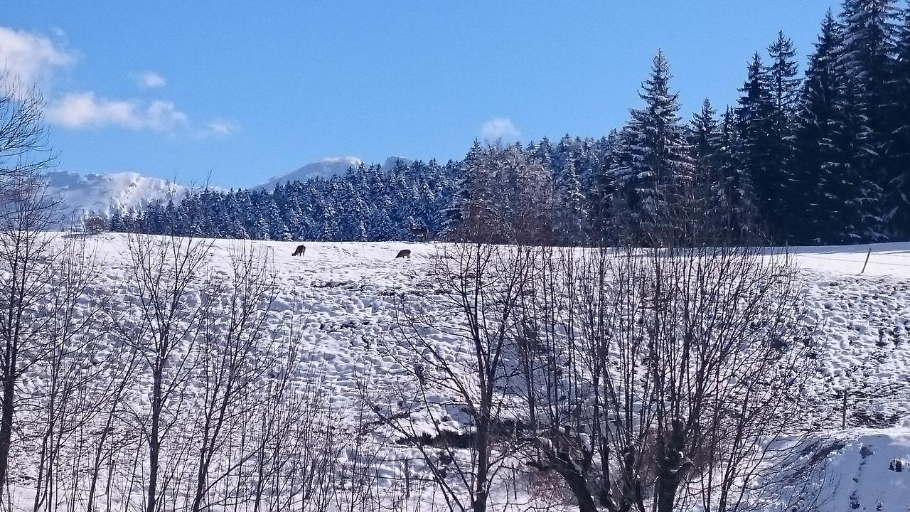 La Ferme Du Bois Barbu Hotel Villard-de-Lans Kültér fotó
